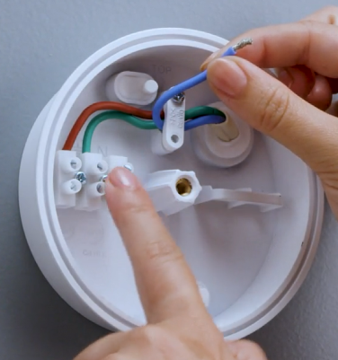 Insert the blue wire into the terminal block